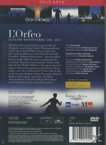VARIOUS - L'Orfeo  - (DVD)
