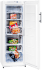 Gefrierschrank GS 27 A++
