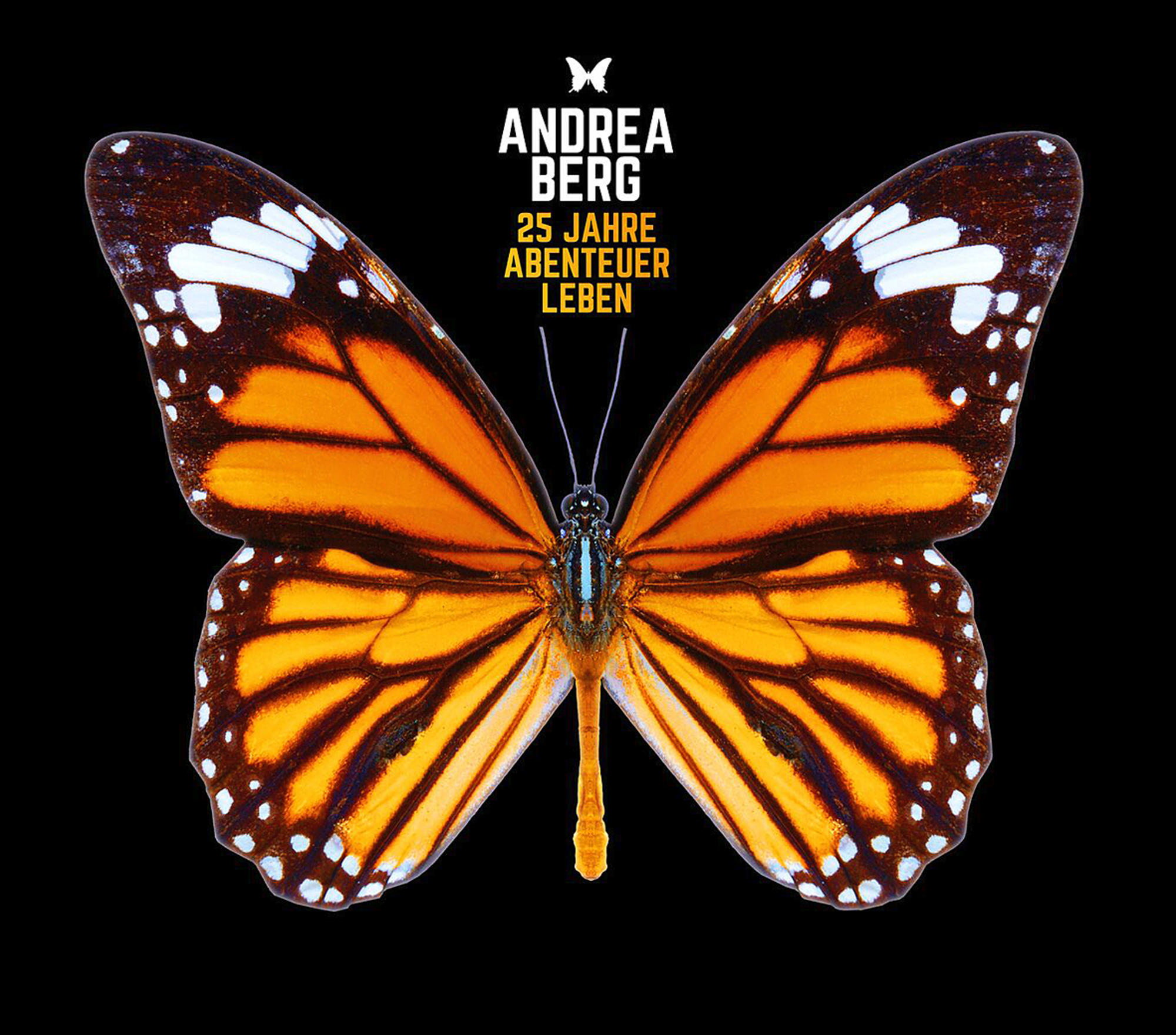 Schmetterling mit orange-weißen Flügeln auf schwarzem Hintergrund.
