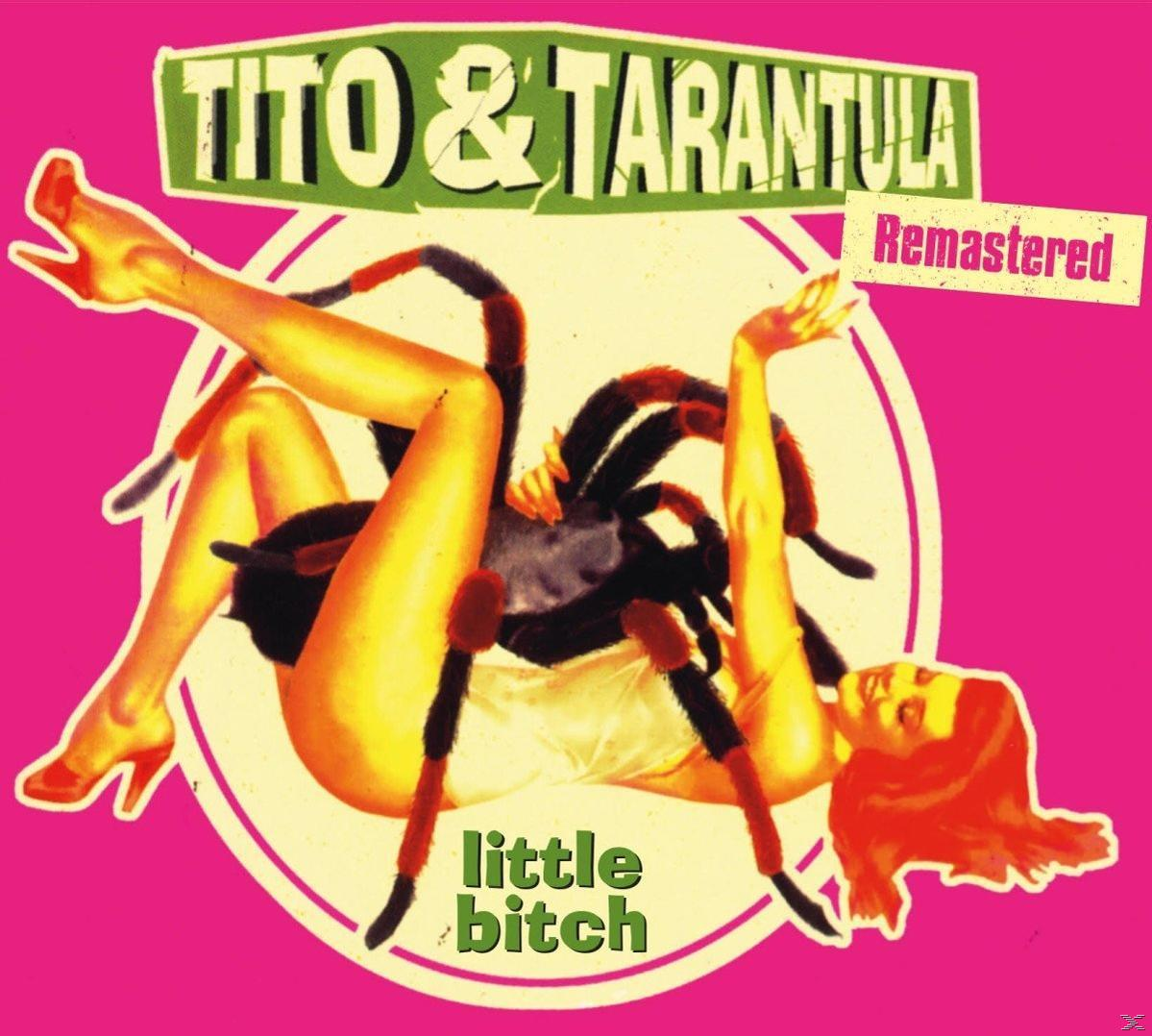 Albumcover: Frau mit Tarantel, liegend auf pinkem Hintergrund mit Titel.