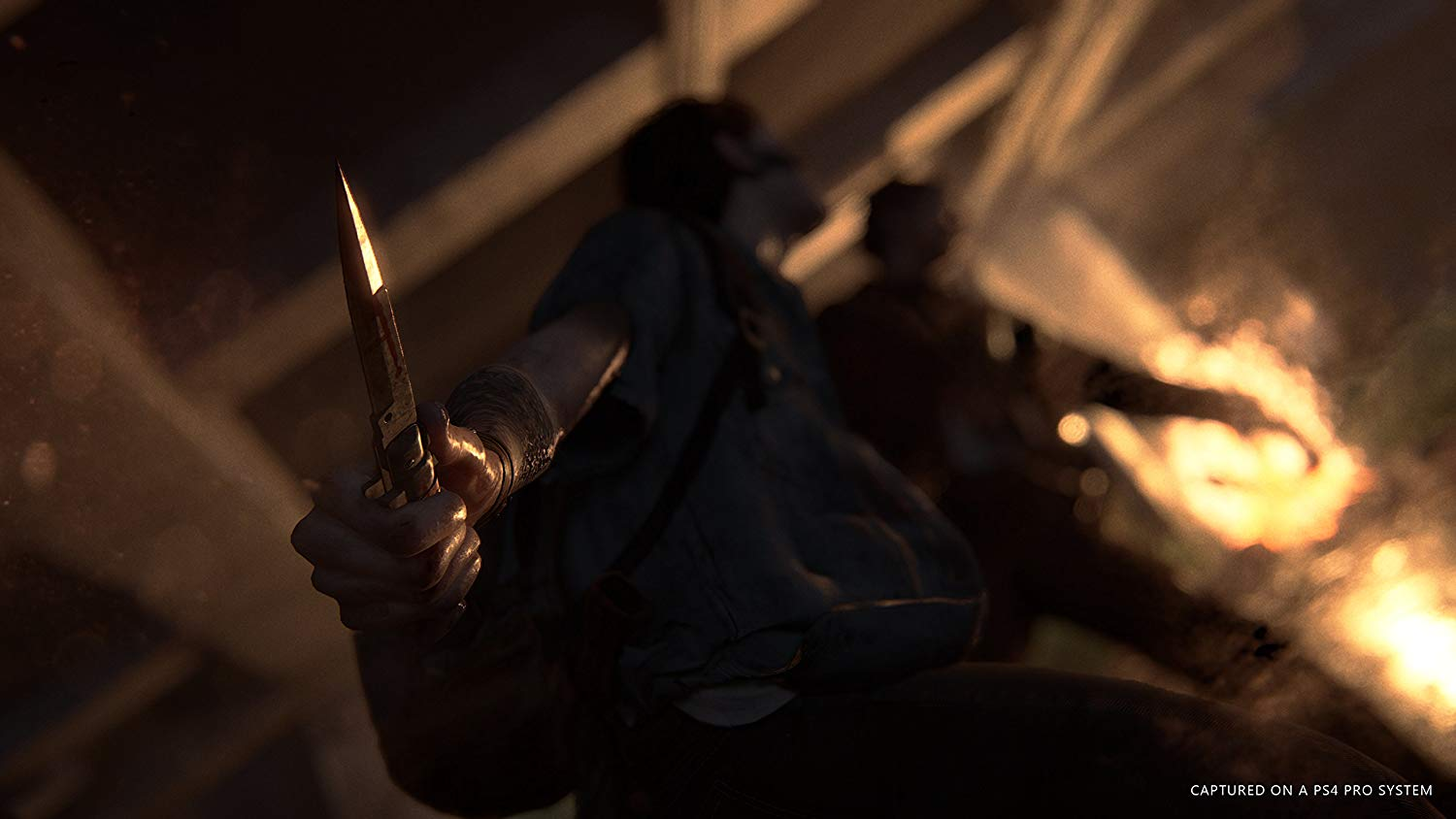 PS4 The Last Of Us: Part II (Ed. Coleccionista)