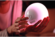 Philips Hue Go ZigBee + Bluetooth neueste Generation