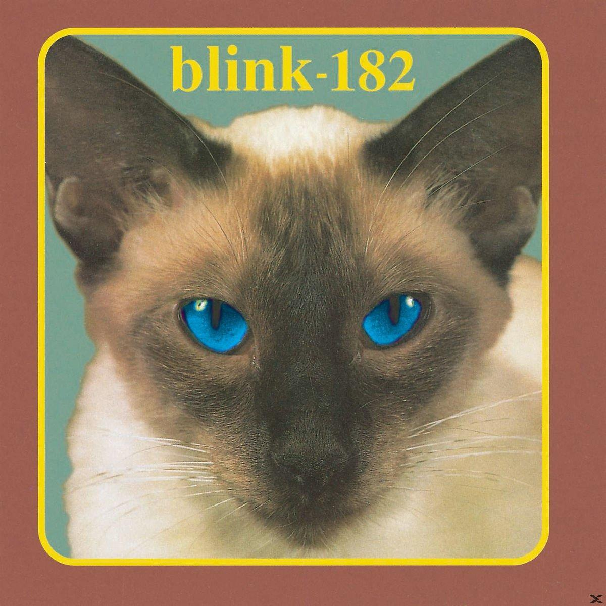 Nahaufnahme einer Siamkatze mit leuchtend blauen Augen. Der Bandname 'blink-182' steht gelb darüber.