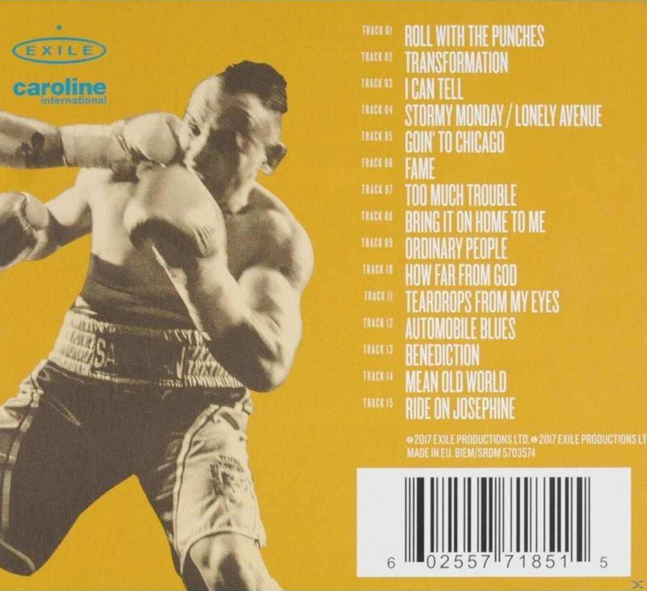 Van Morrison - Roll With The Punches  - (CD)