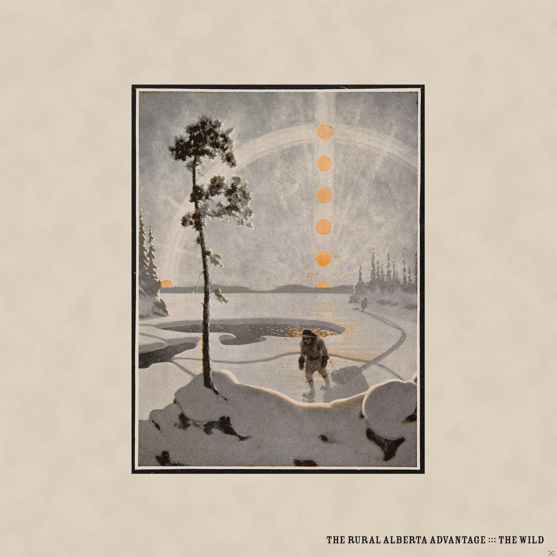 The Rural Alberta Advantage - The Wild  - (CD)