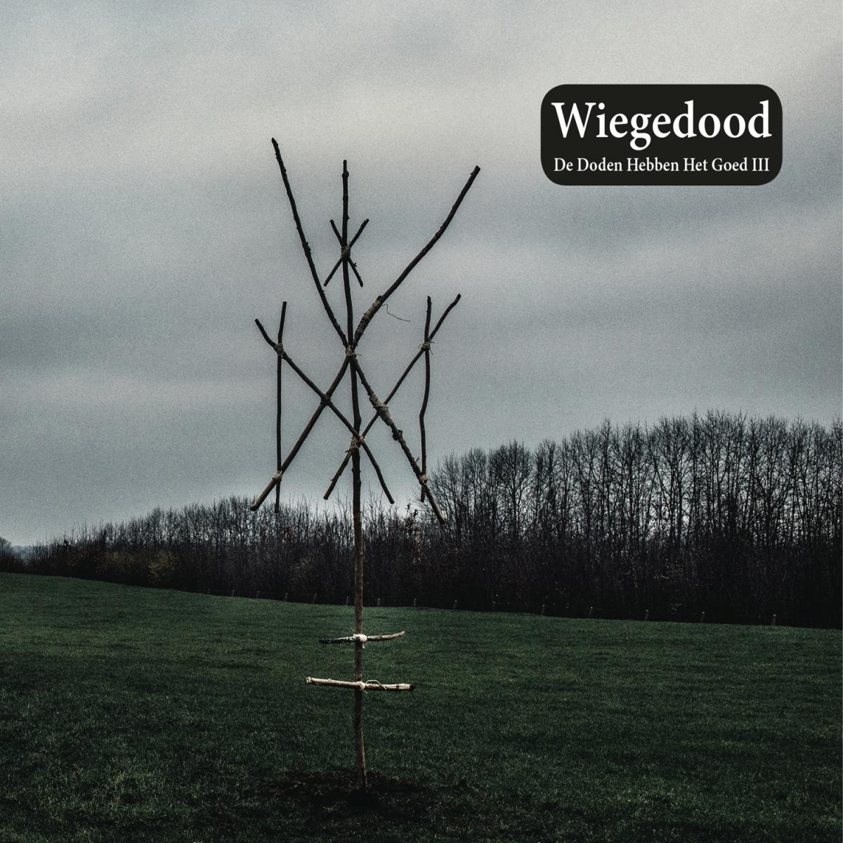 Albumcover mit einer Aststruktur auf einem Feld, grauer Himmel.