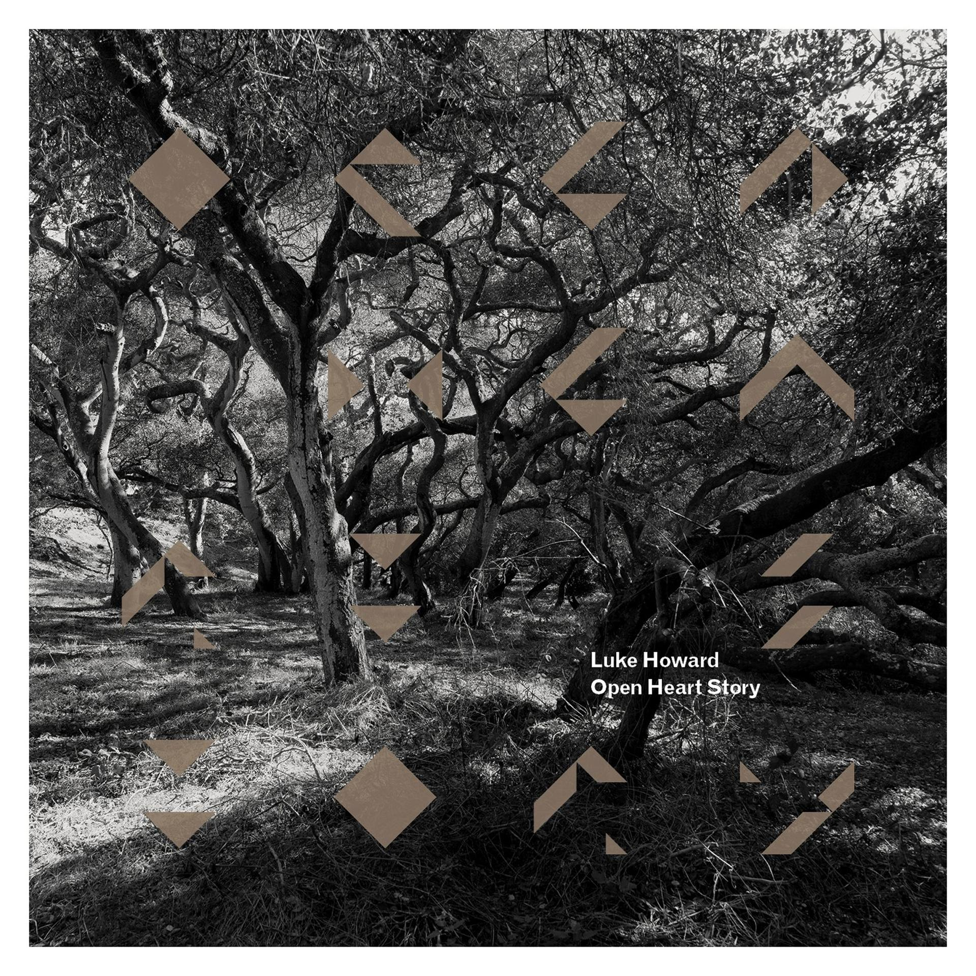 Luke Howard - Open Heart Story  - (CD)