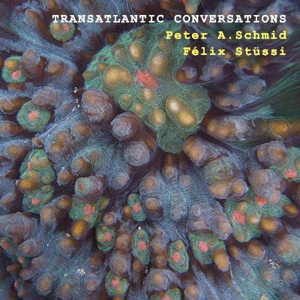 Stüssi Felix, PETER A. Schmid - Transatlantic Conversations  - (CD)