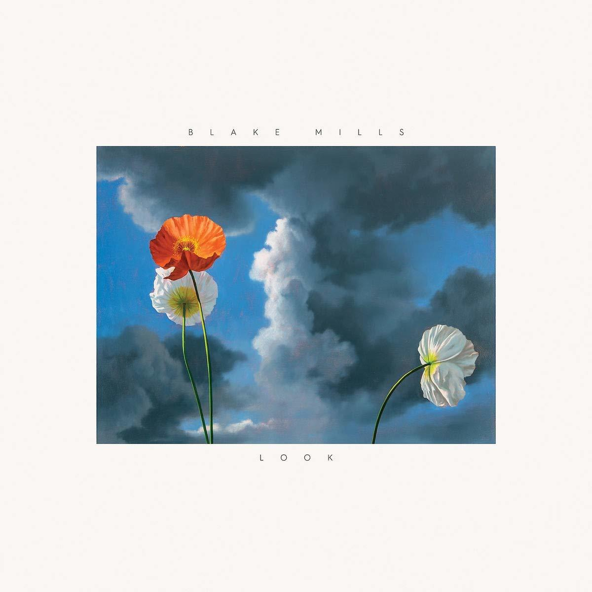 Albumcover von Blumen vor blauem Himmel mit Wolken. Der Text lautet "Blake Mills" und "Look".
