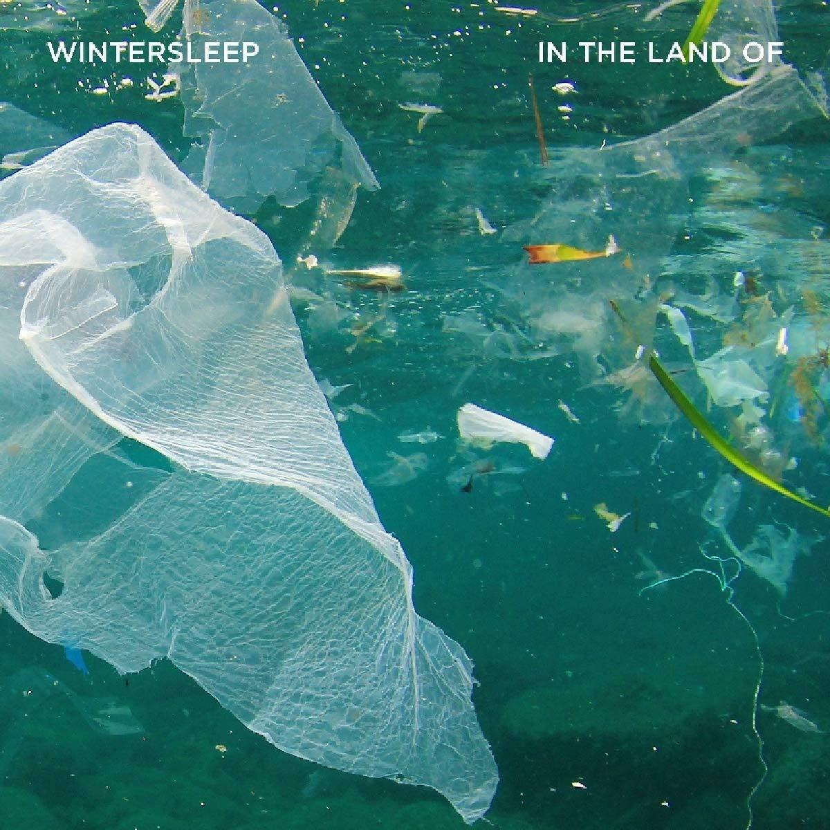 Wintersleep - In The Land Of  - (Vinyl)
