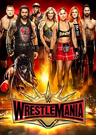 Wrestlemania-Poster: Wrestler, Logo, helle Lichter.