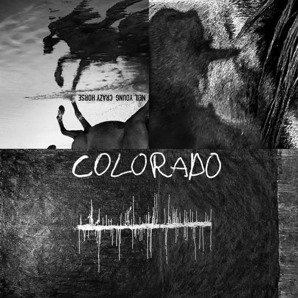 Kép: Fekete-fehér kép lovakról. Visszaverődés és árnyékhatások. 'Neil Young Crazy Horse' és 'Colorado'.