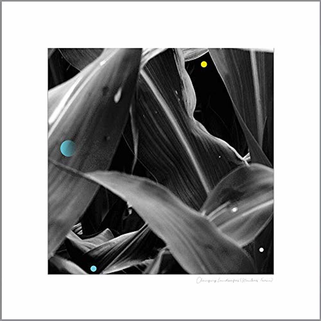 King Arthur - Changing Landscapes  - (Vinyl)