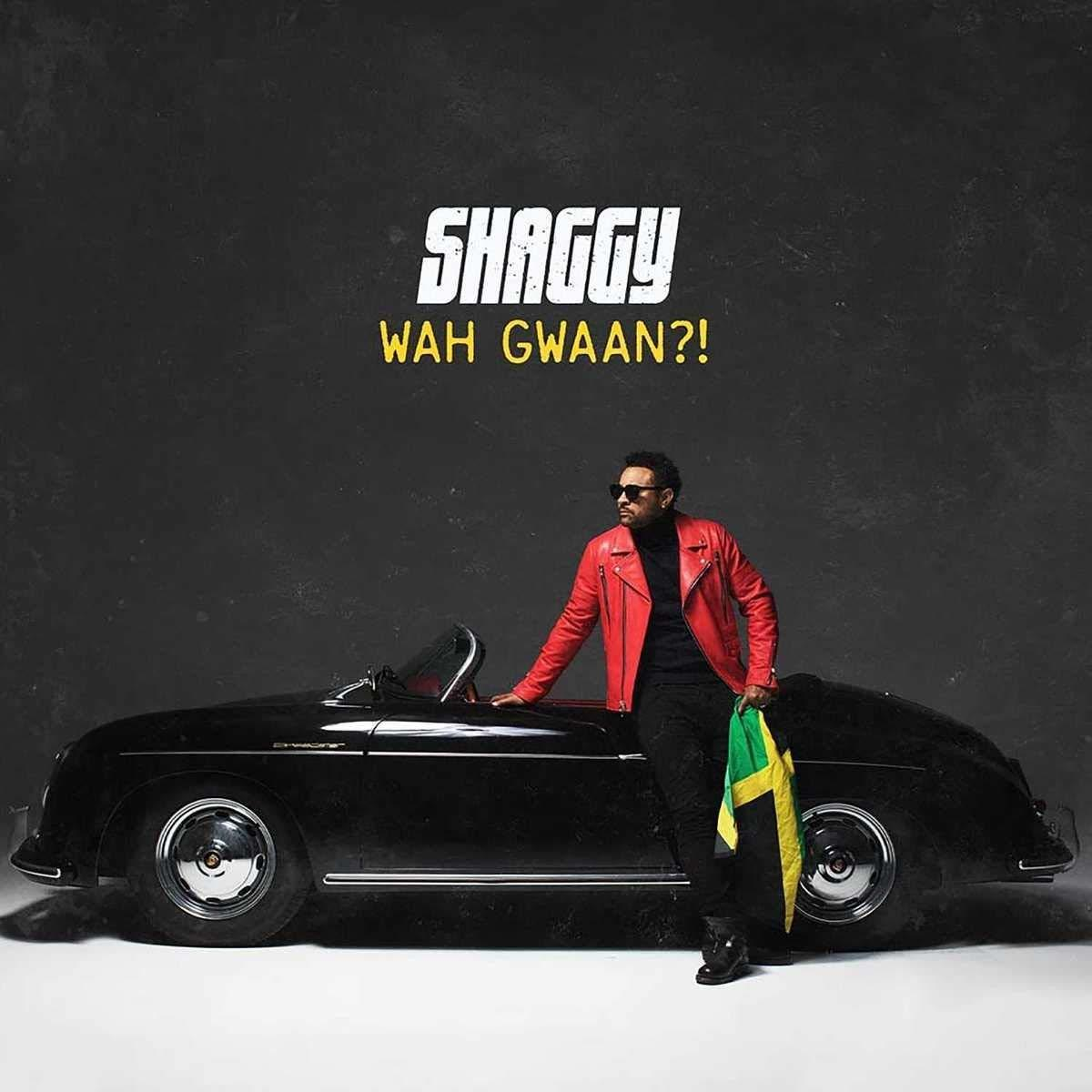 Shaggy - WAH GWAAN?! (DIGI)  - (CD)