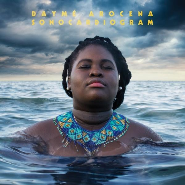 Dayme Arocena - Sonocardiogram  - (Vinyl)