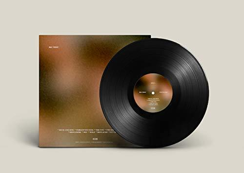Eine schwarze Schallplatte neben ihrem Albumcover, das ein verschwommenes, farbenfrohes Design hat.