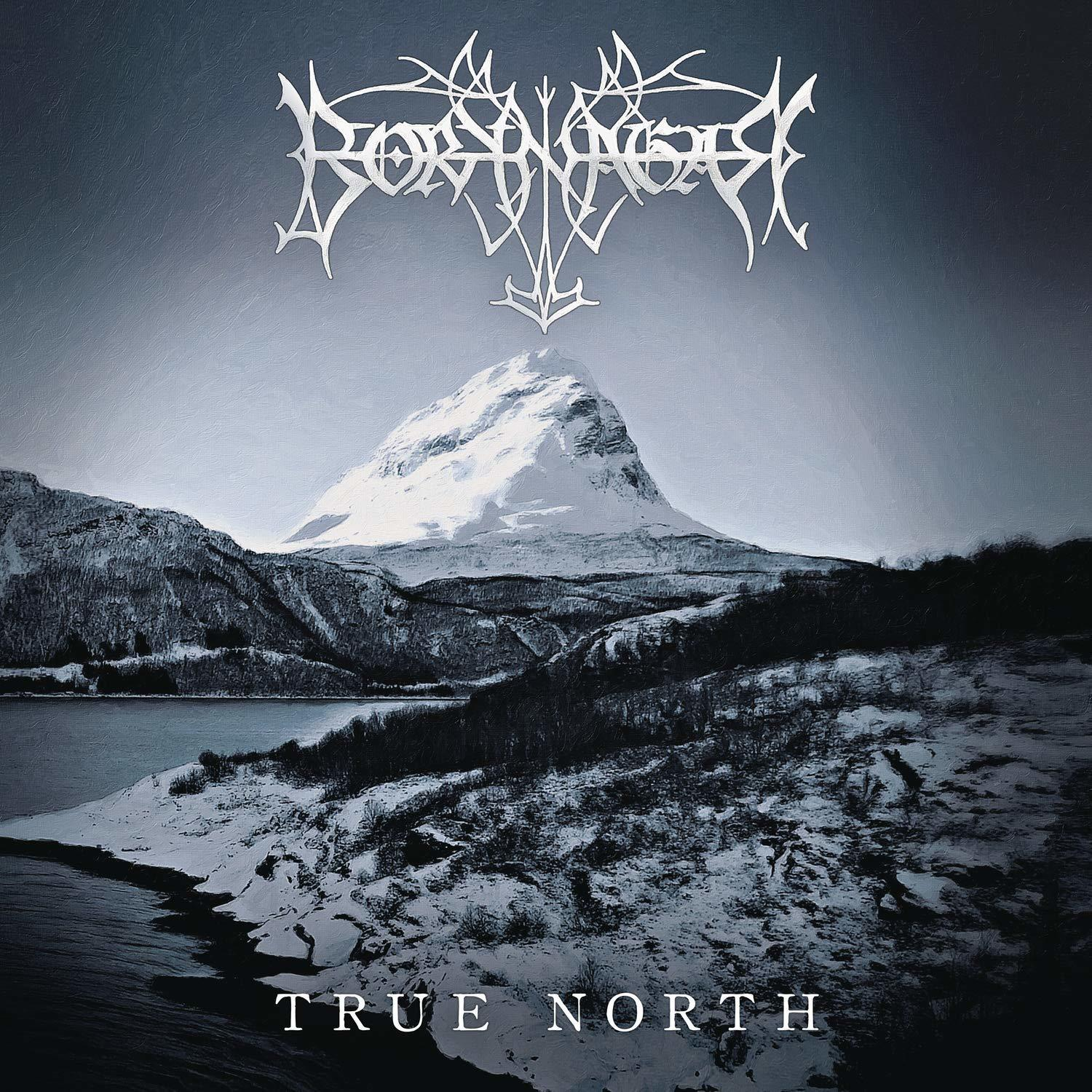 Pochette d'album avec une chaîne de montagnes enneigées et le texte 'TRUE NORTH' en bas.