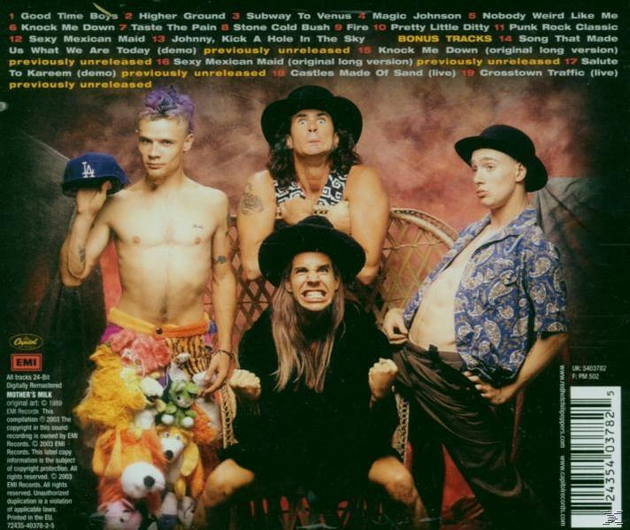 Die Rückseite eines Schallplattenalbums mit Bandmitgliedern in einem Gruppenfoto.