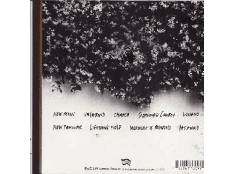 Thumbnail - Steve Gunn - THE UNSEEN IN BETWEEN (CD)