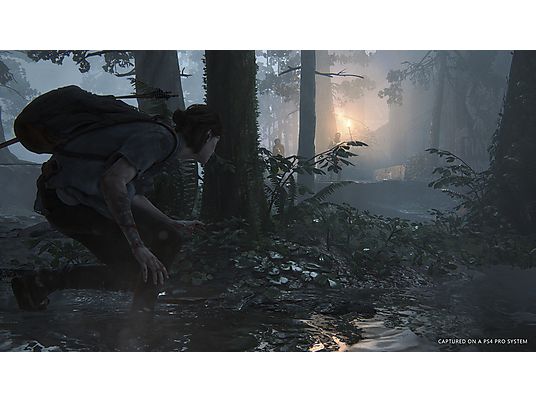 The Last Of Us Part II Standard Plus | PlayStation 4