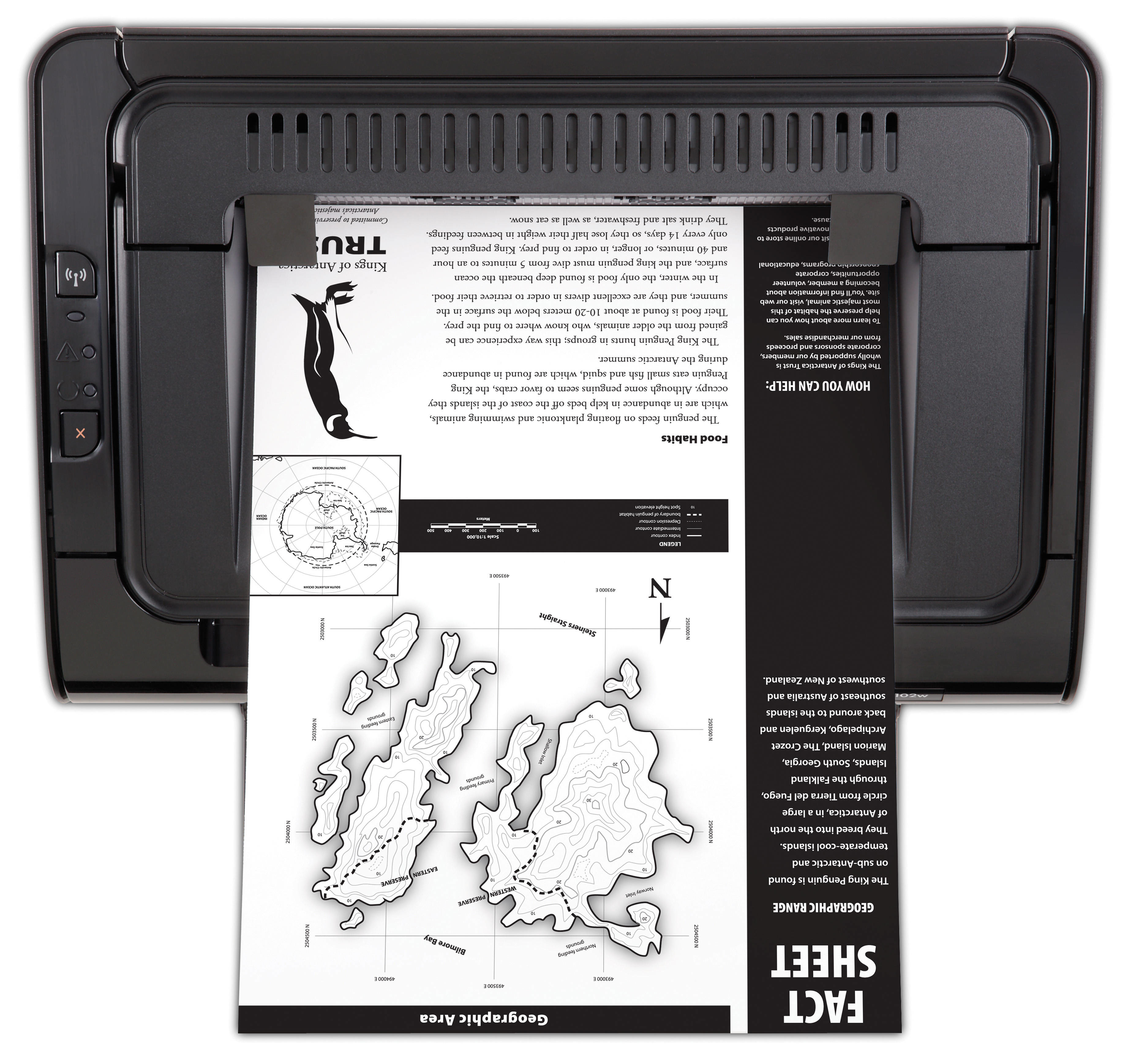 Impresora Láser Monocromo - HP LaserJet Pro P1102W
