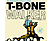 T-Bone Walker - The Great Blues Vocals and Guitar of T-Bone Walker (CD)