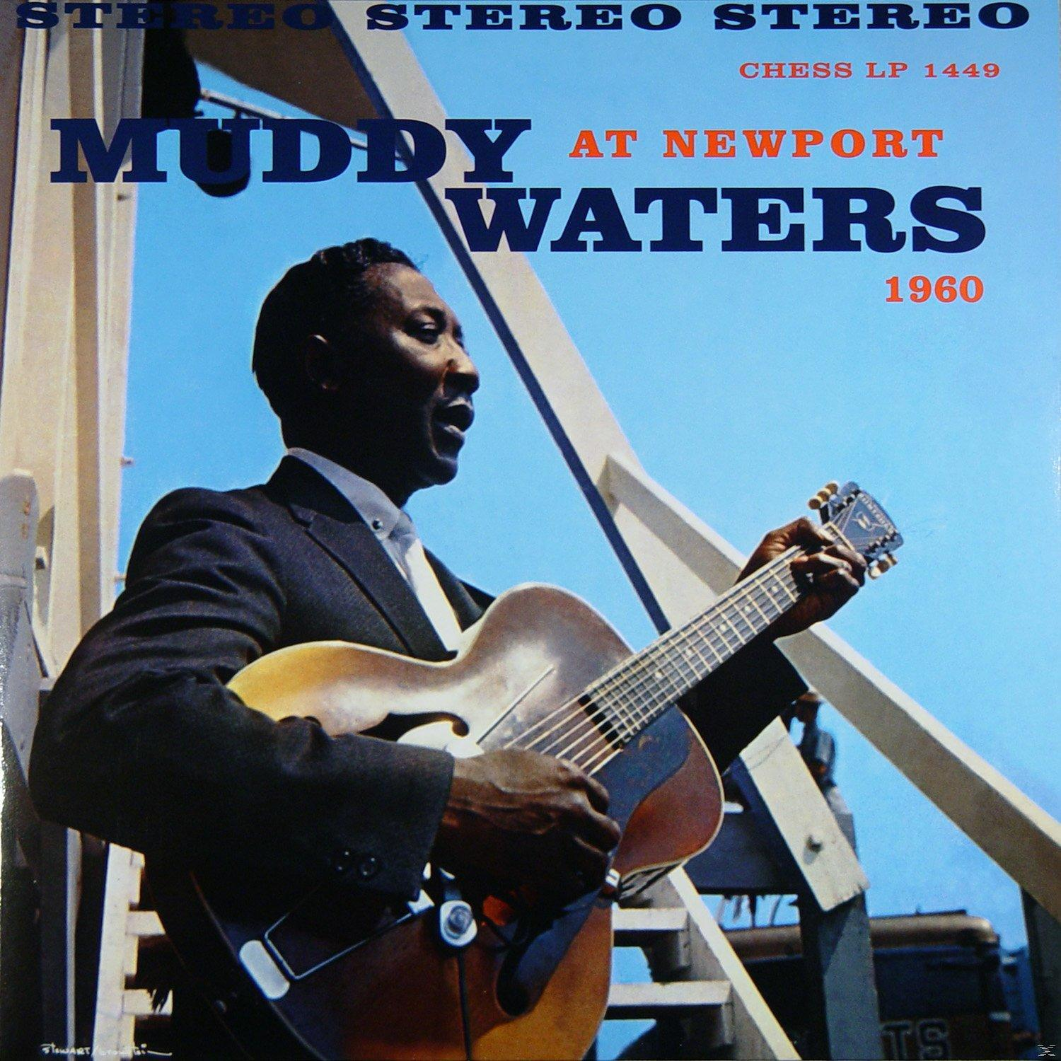 Muddy Waters spielt Gitarre. Albumcover.