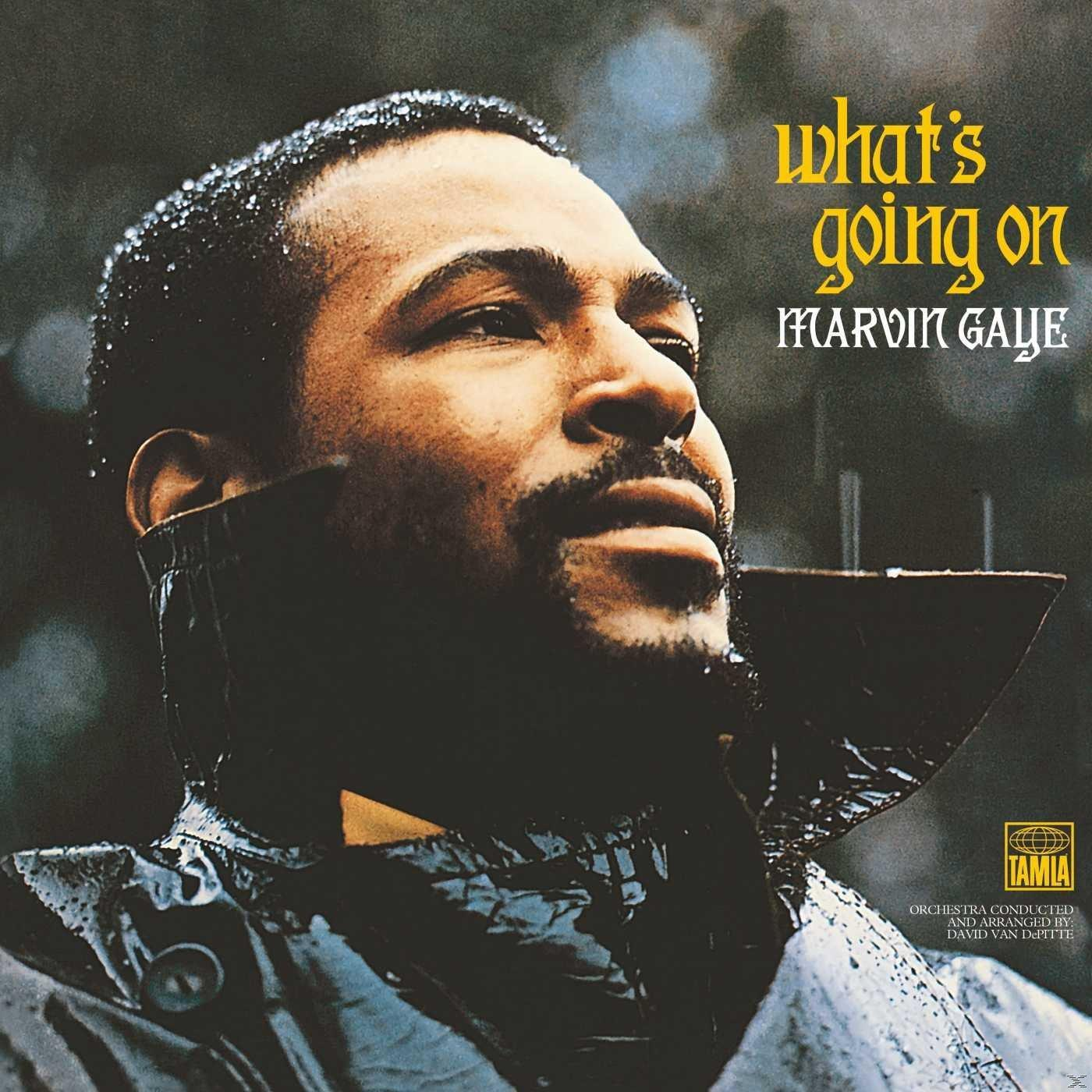 Marvin Gaye Portrait auf Albumcover. Er blickt nach oben, leicht vom Regen nass. Text: What's Going On.
