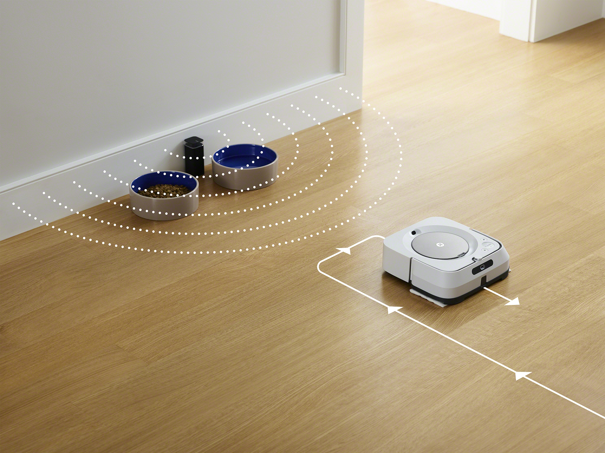 Robot vacuum cleaner, two bowls, and a door.