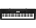 CASIO CTK-3500 - Tastiera musicale (Nero/bianco)