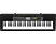 CASIO CTK-2500 - Keyboard (Schwarz/weiss)