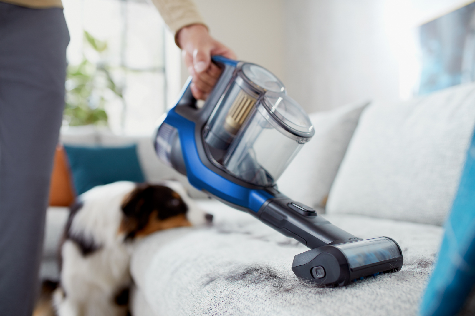 Een persoon die een bank stofzuigt met een hond op de achtergrond.