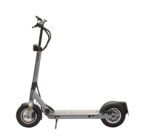 Elektro Scooter The Urban #HMBRG, grau