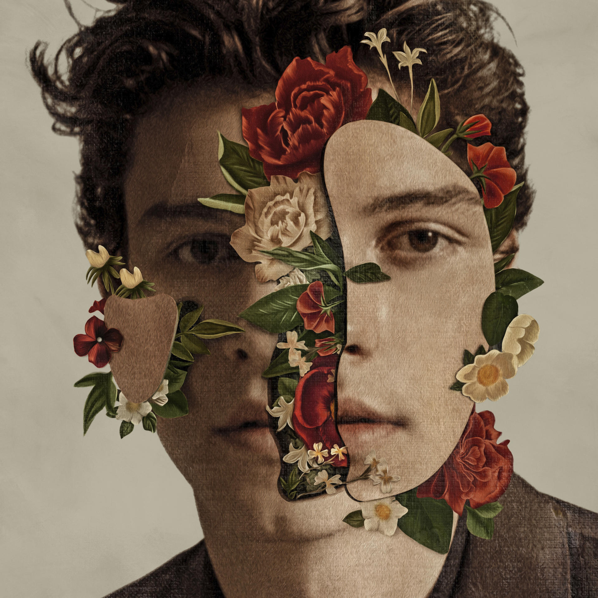 Shawn Mendes - Shawn Mendes Deluxe Edition [CD]