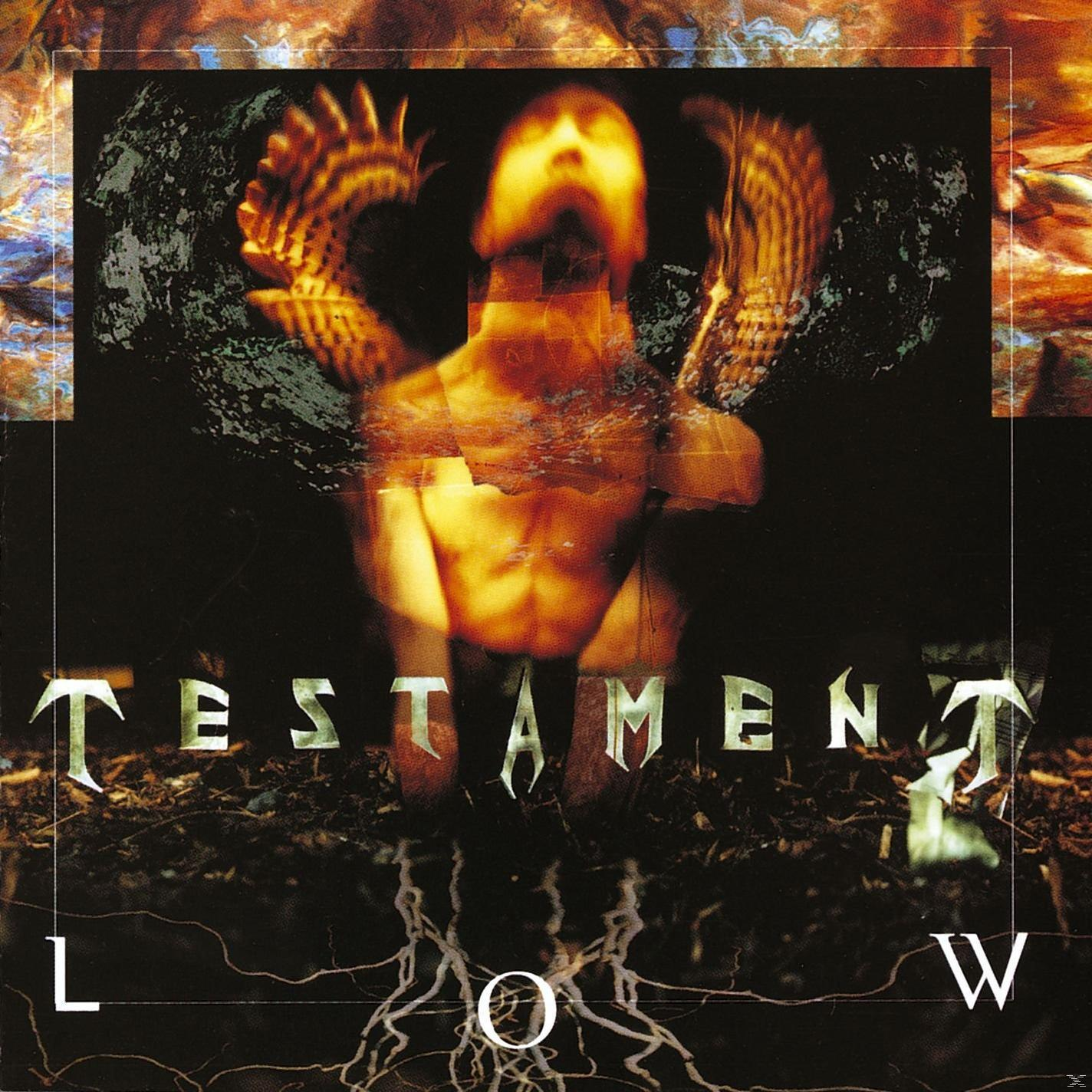 Testament album borítója: szárnyas férfi sötét, textúrált háttérrel.