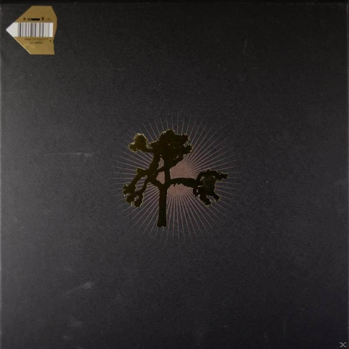 Ein schwarzes Albumcover mit einer Baumsilhouette in der Mitte, mit Sonnenstrahlen.