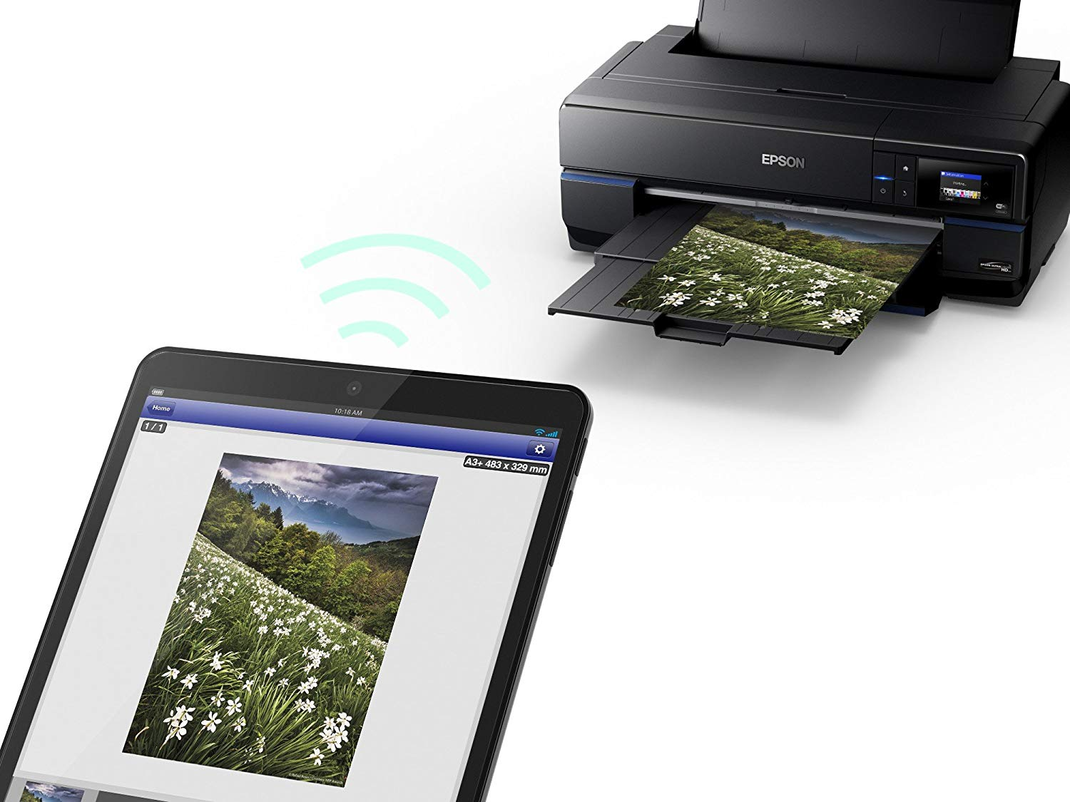 Impresora - Epson SC-P800, Inyección de tinta, 9 cartuchos, Negro