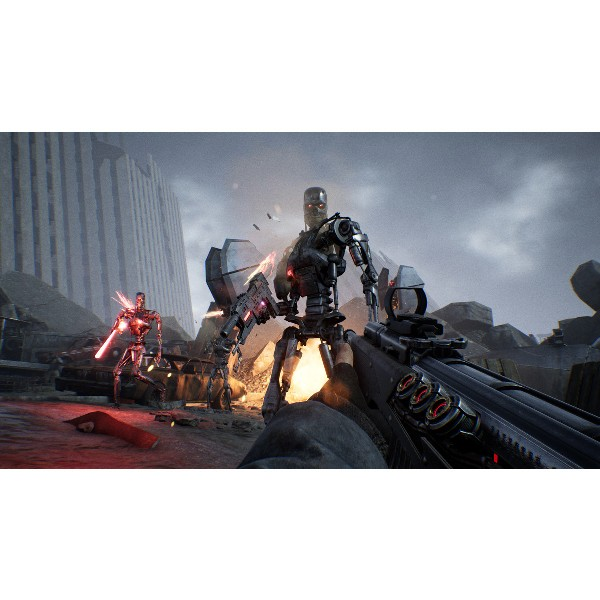 PS4 Terminator Resistance