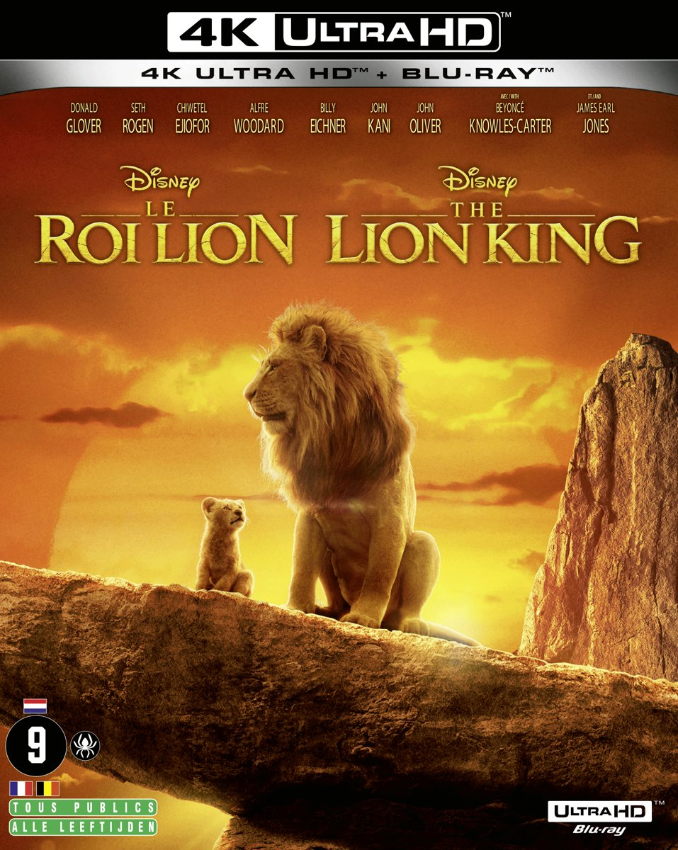 De Lion King-filmposter met een leeuw en welp op een rots.