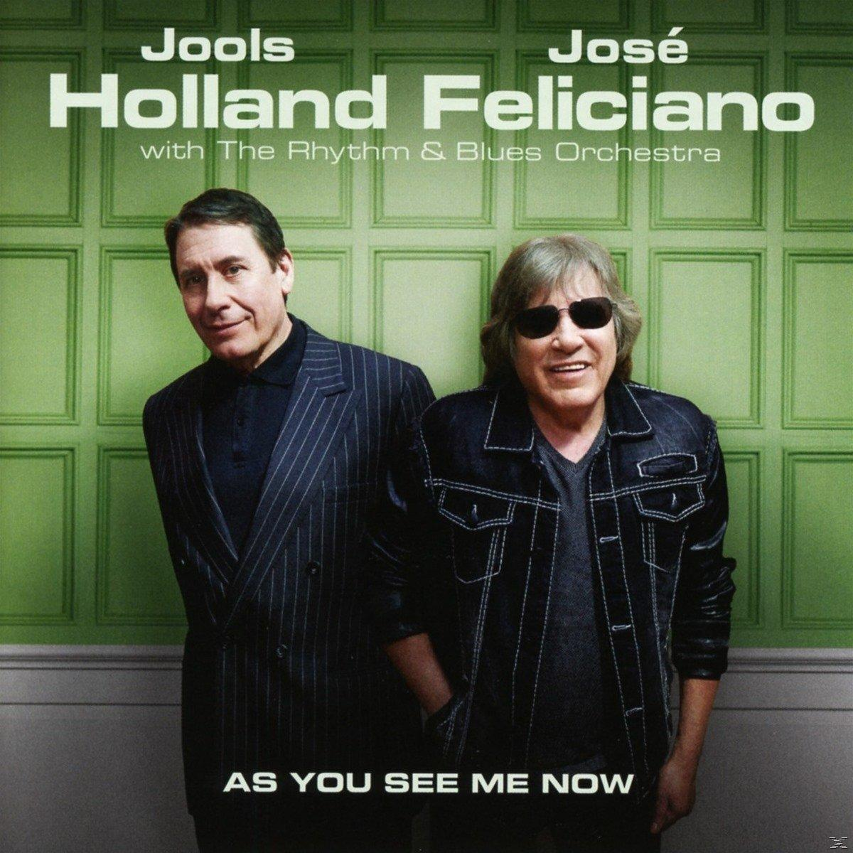 Jools Holland & José Feliciano - As You See Me Now (CD)