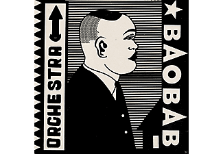 Orchestra Baobab - Tribute To Ndiouga Dieng (Vinyl LP (nagylemez))