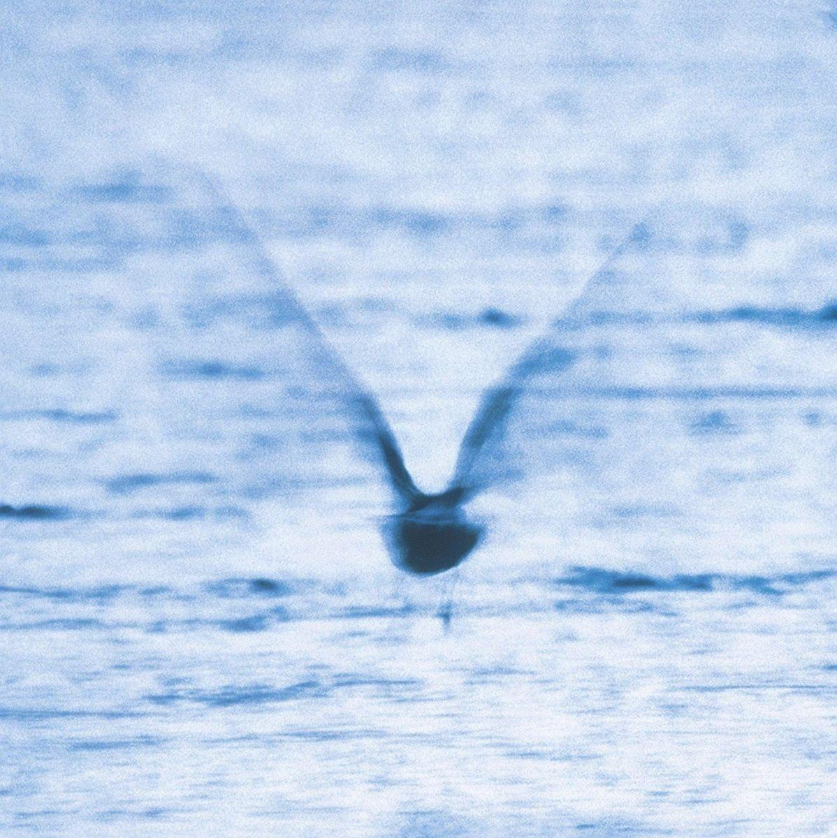Ryo Fukui - Mellow Dream  - (CD)