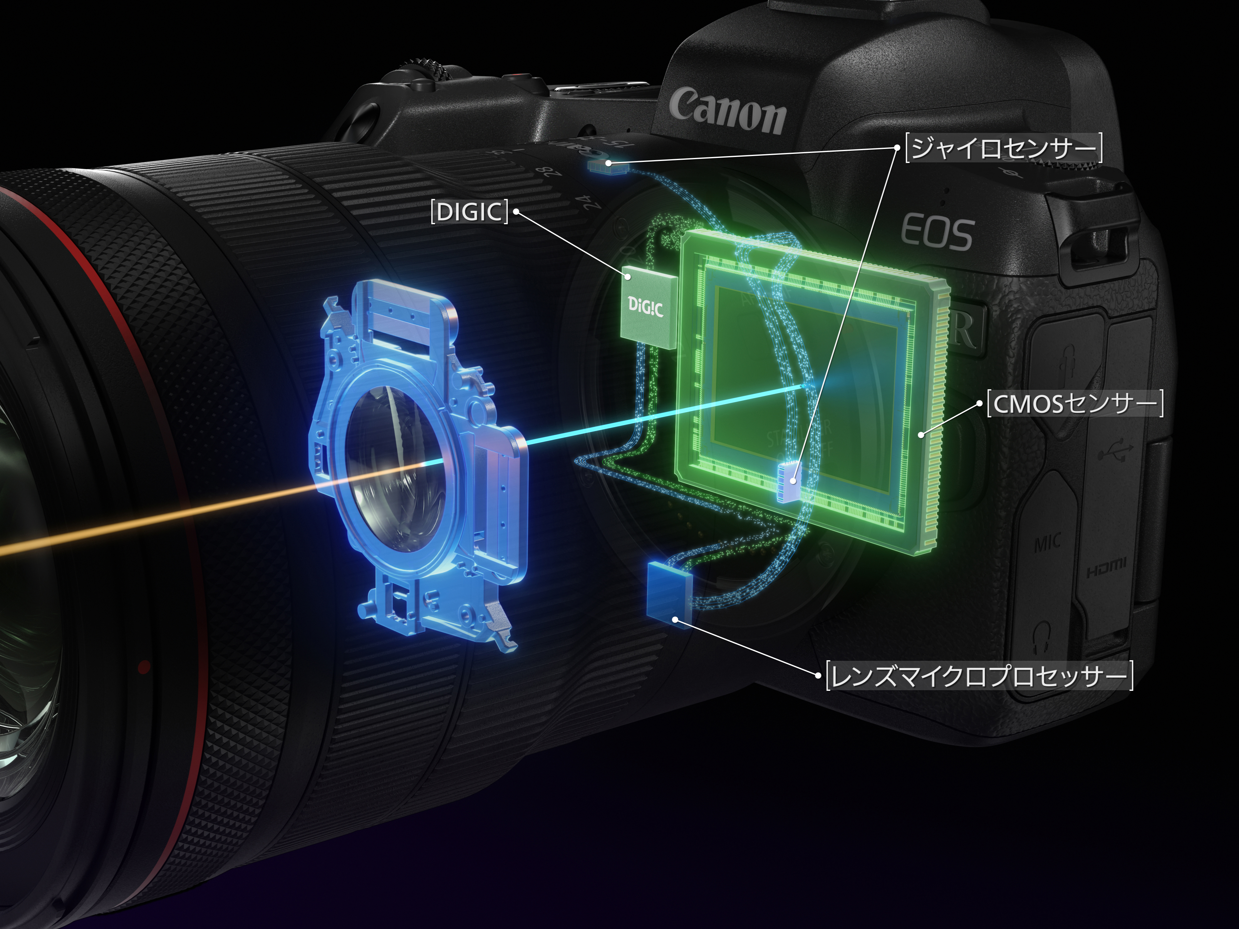 Schnittdiagramm einer Canon Kamera, das interne Komponenten zeigt.