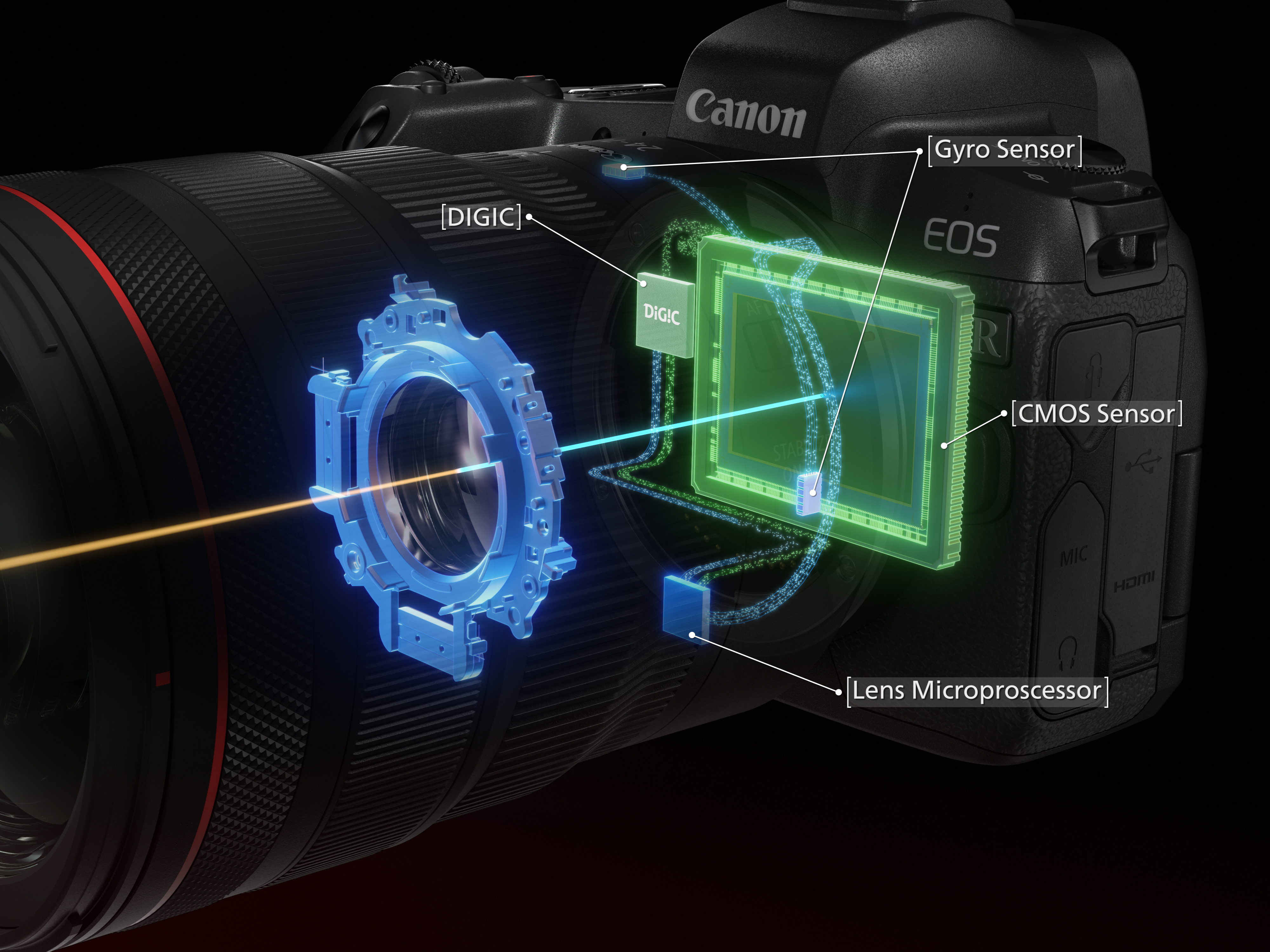 Nahaufnahme der internen Komponenten einer Canon-Kamera, einschließlich Sensor und Objektiv-Mikroprozessor.