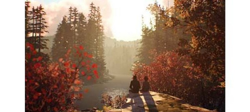 Dos personas sentadas en una roca junto a un lago, con un bosque al fondo.
