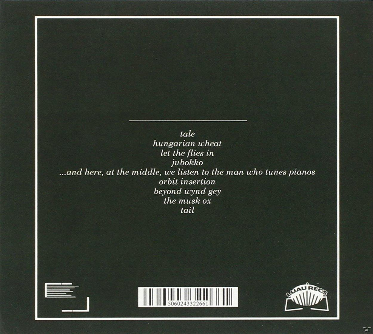 Sontag Shogun - Tale  - (CD)