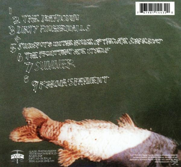 Album-Rückseite mit Titelliste, einem Fisch und Albumtitel. Der Bandname ist Glacial Face.