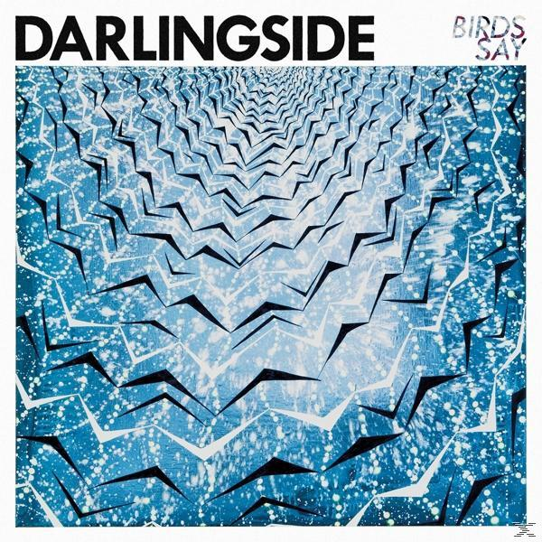 Darlingside - Birds Say (LP)  - (Vinyl)