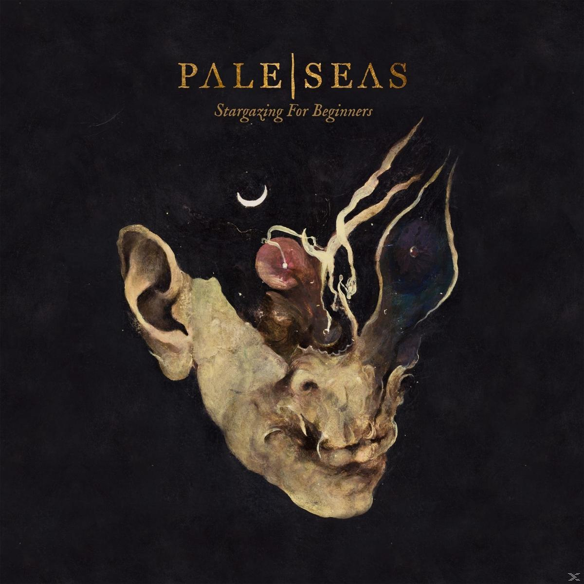 Seas For (Vinyl) Pale - (LP) Stargazing Beginners -