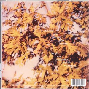 Soccer Mommy - Clean  - (CD)